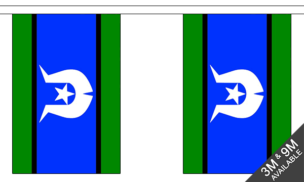 Torres Strait Islands Bunting